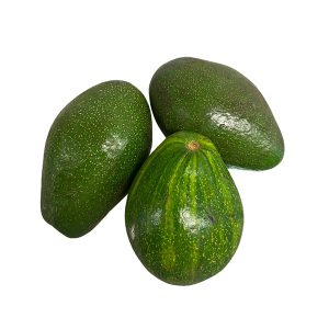 Avocado