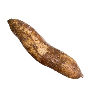 Cassava